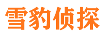 伍家岗市调查公司